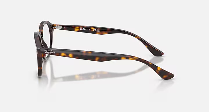 RB5451 OPTICS