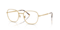 RB6534 OPTICS