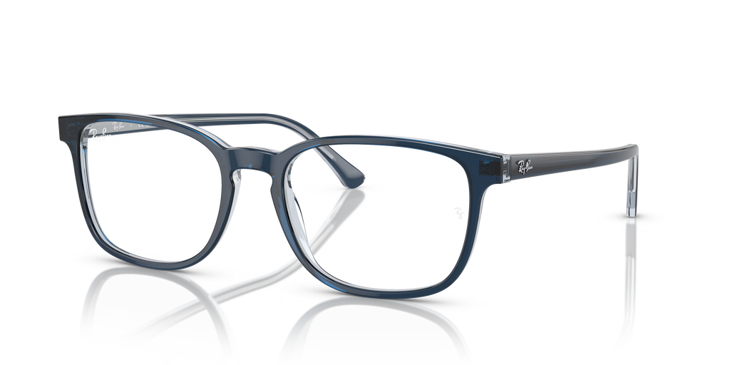 RB5418 OPTICS