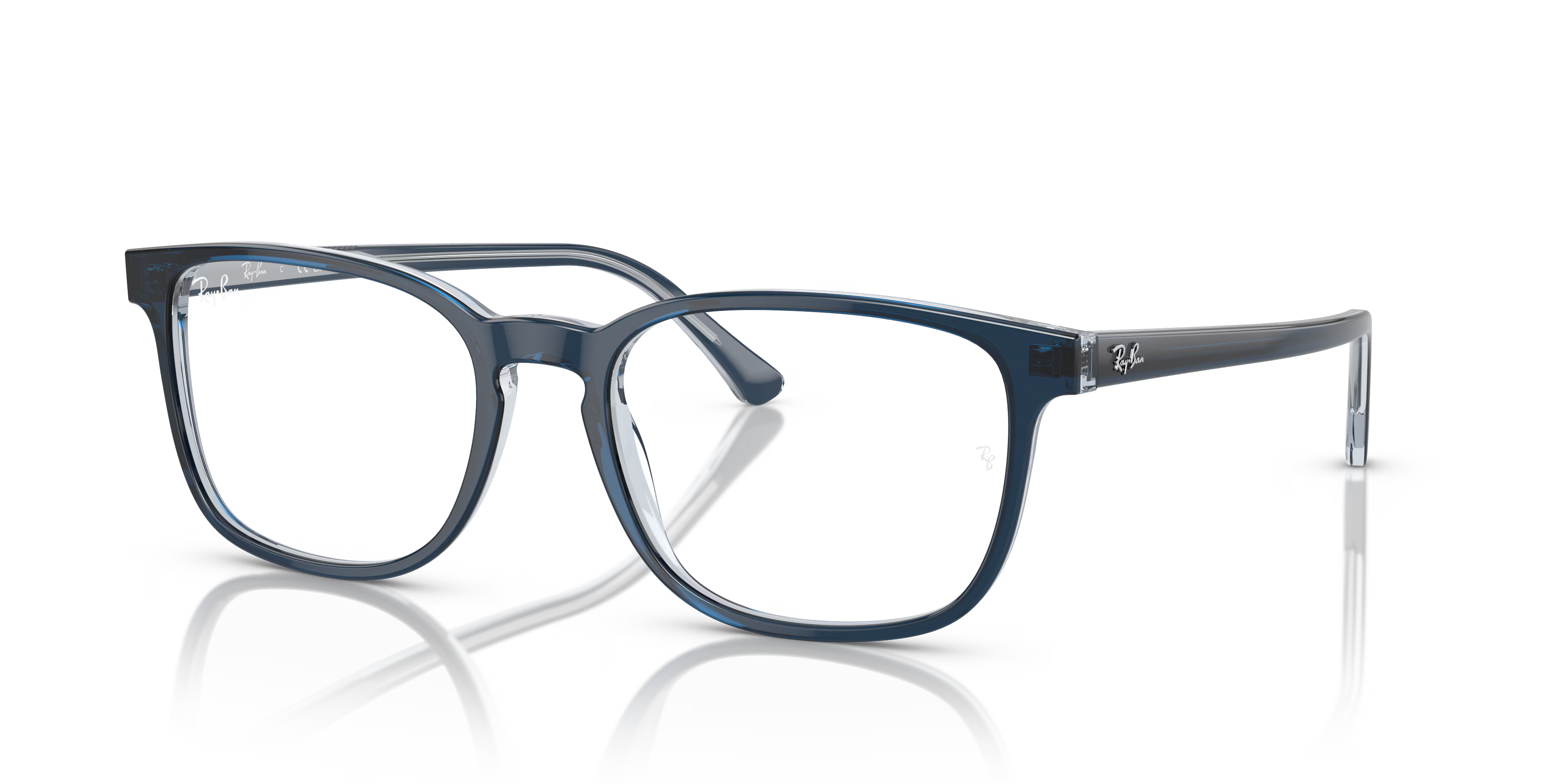 RB5418 OPTICS