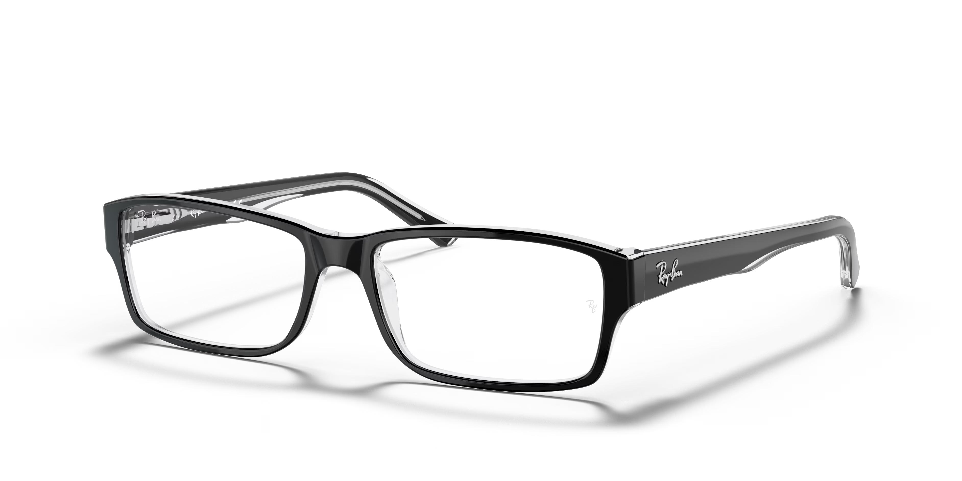 RB5169 OPTICS