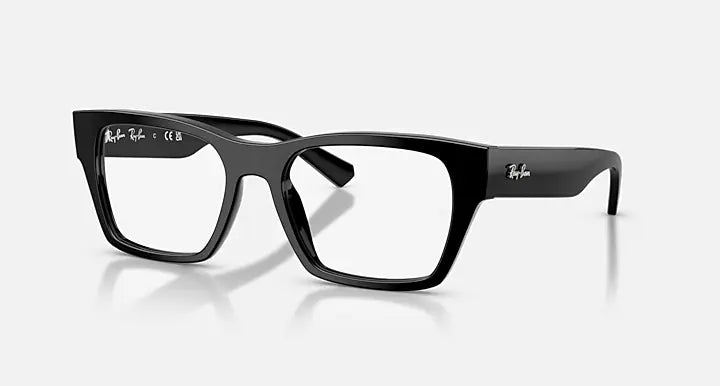 RB5448 OPTICS
