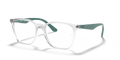 RB7177 OPTICS