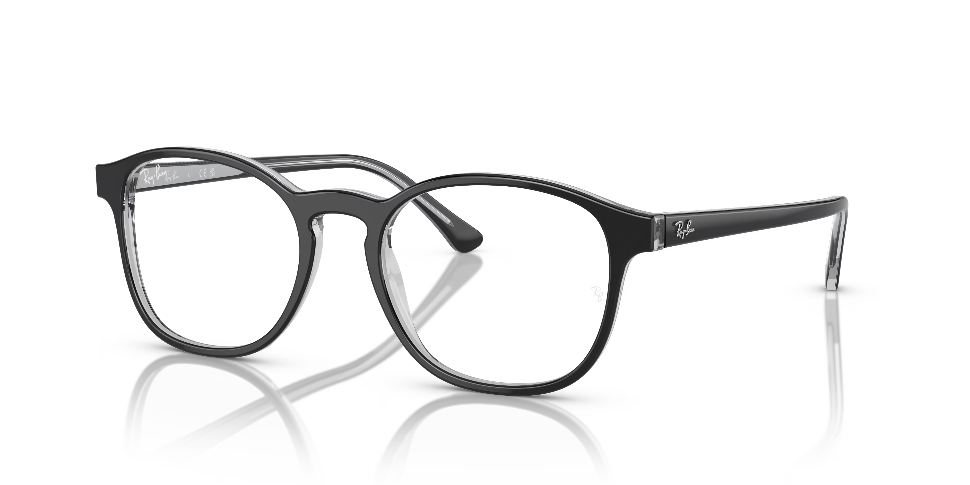 RB5417 OPTICS