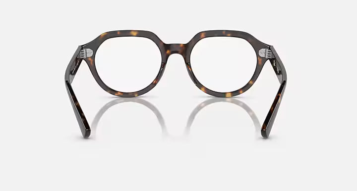 GINA OPTICS