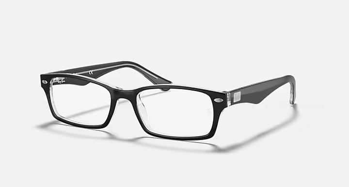 RB5206 OPTICS