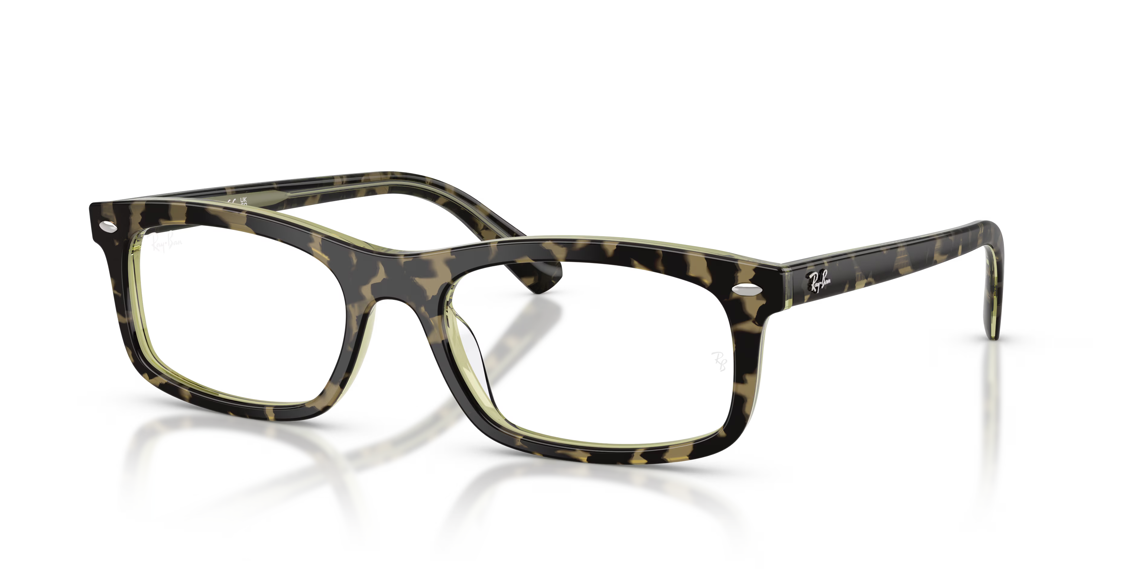 RB5450 OPTICS