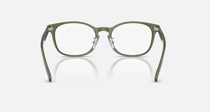 RB5386 OPTICS