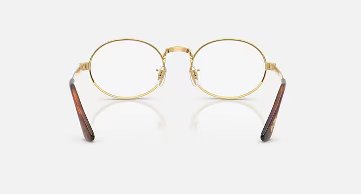 RB3931V OPTICS BY A$AP ROCKY