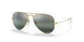 AVIATOR POLARIZED+ LENSES
