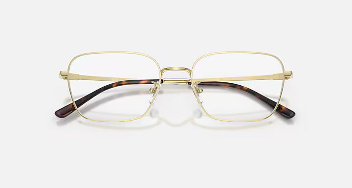 RB8784D TITANIUM OPTICS