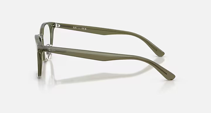 RB5386 OPTICS