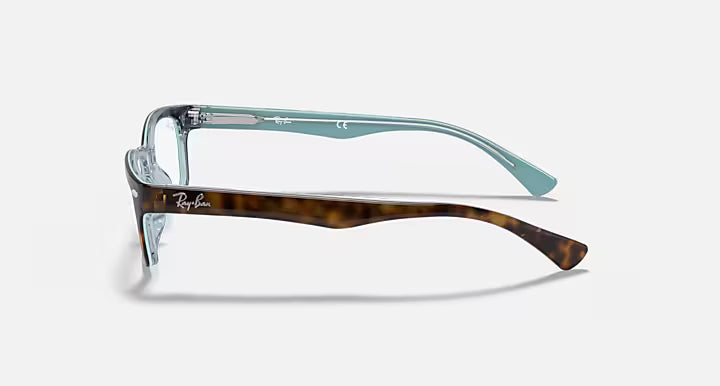 RB5150 OPTICS