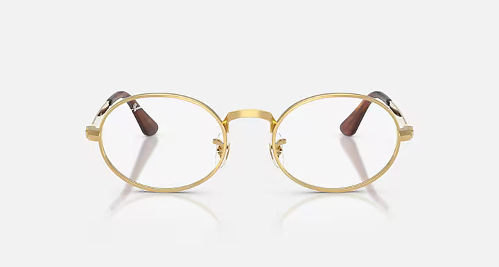 RB3931V OPTICS BY A$AP ROCKY