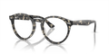LARRY OPTICS