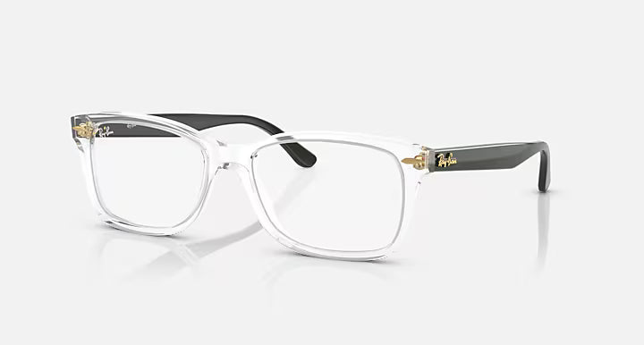 RB5428 OPTICS