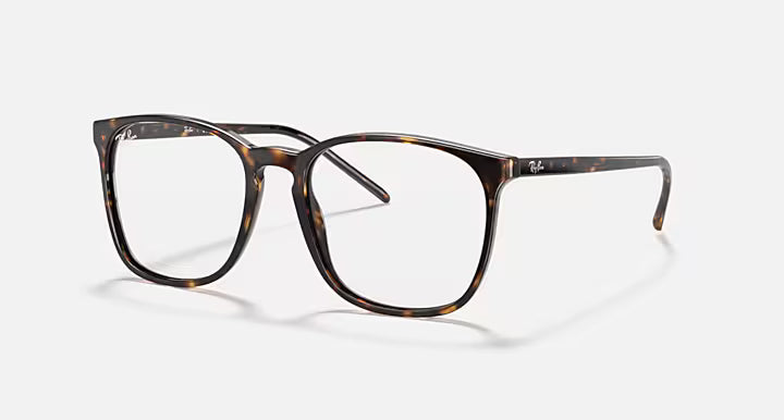 RB5387 OPTICS