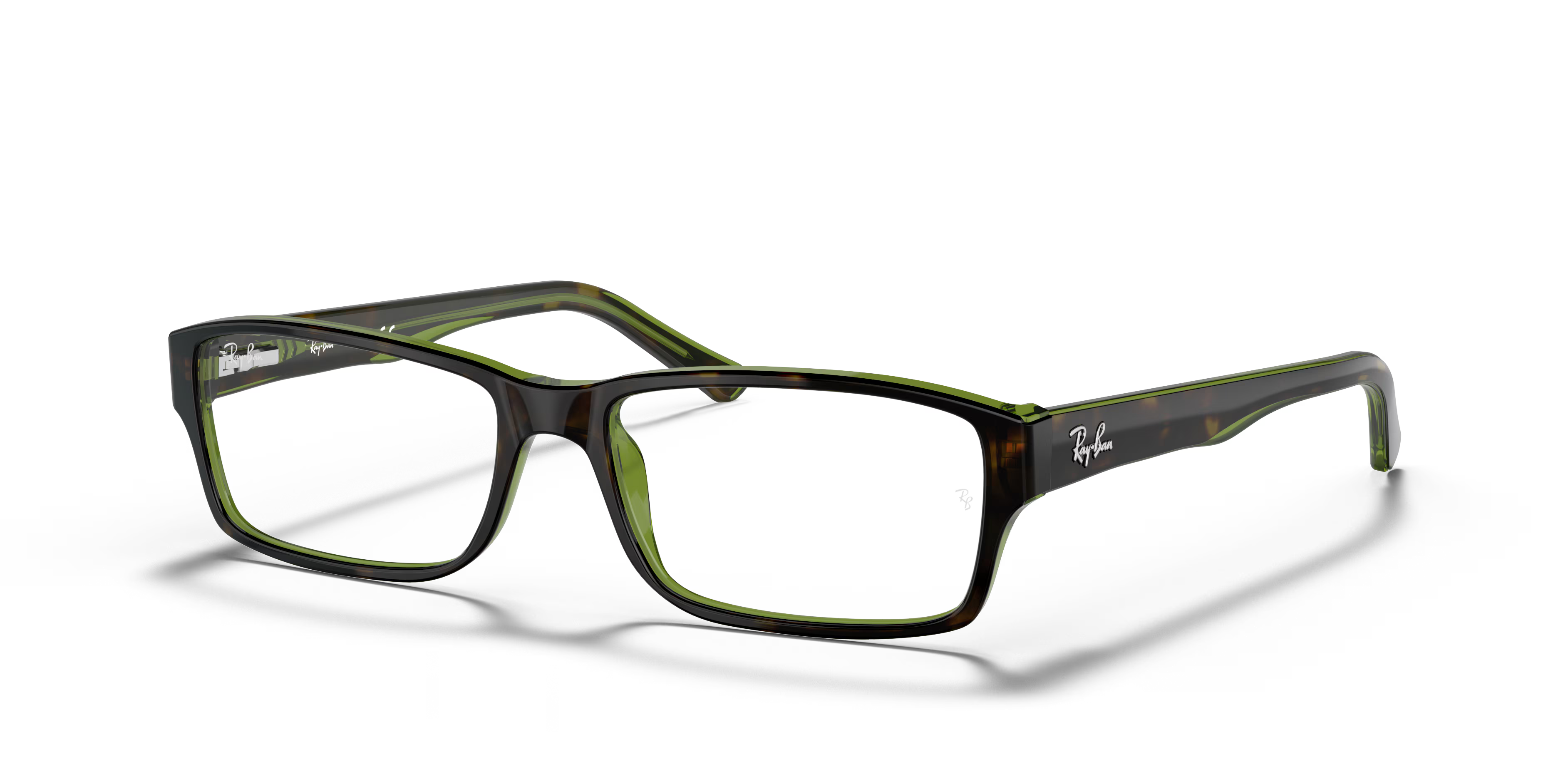 RB5169 OPTICS
