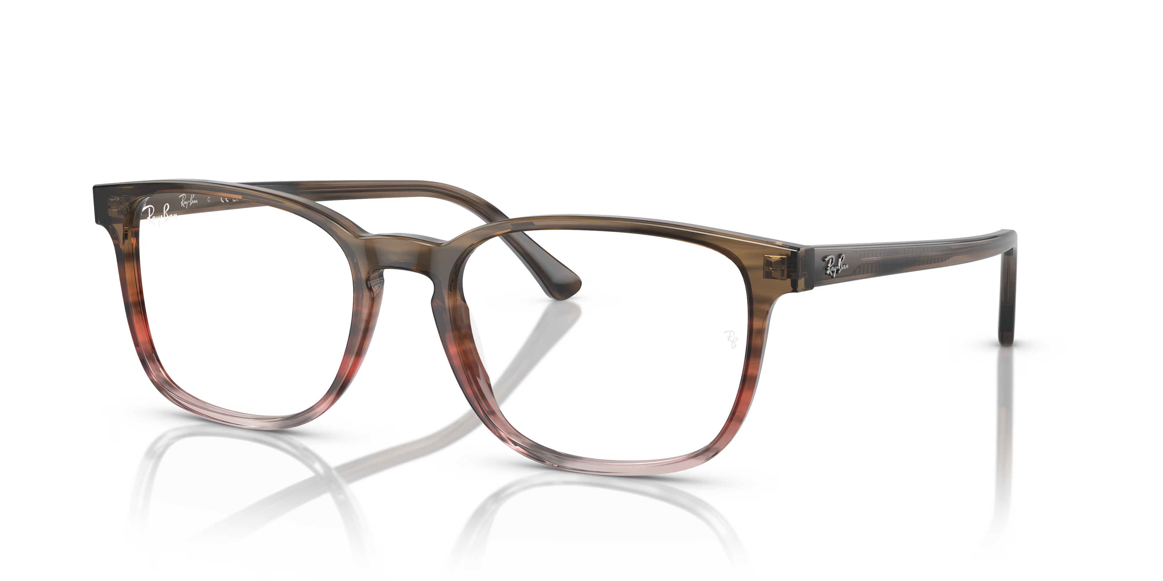RB5418 OPTICS