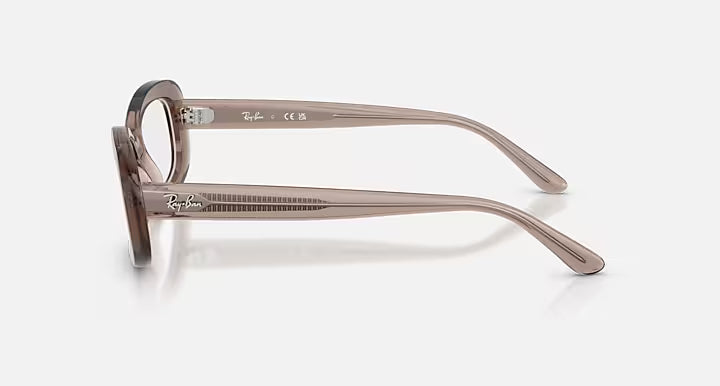 RB2221V OPTICS