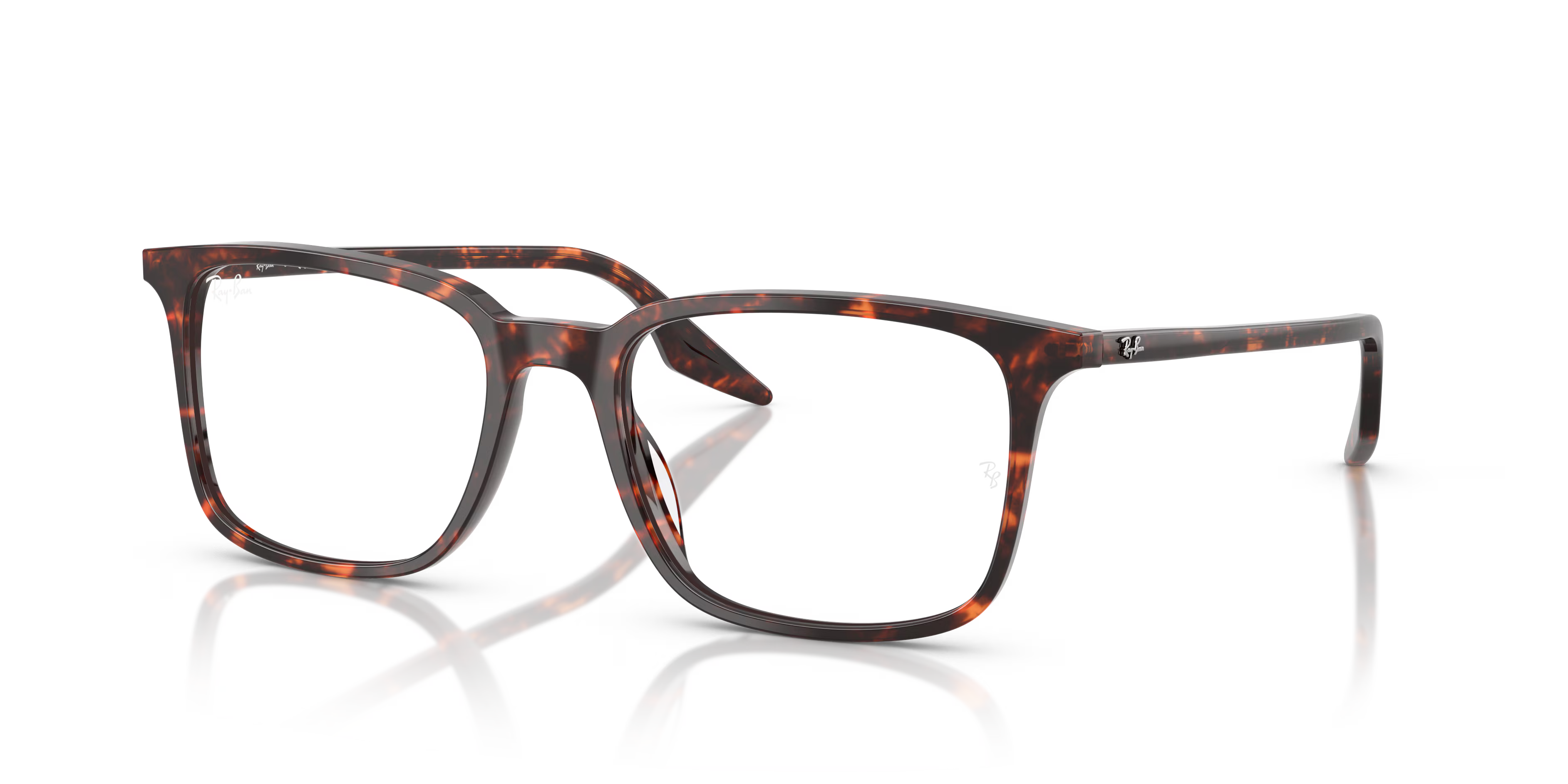 RB5421 OPTICS
