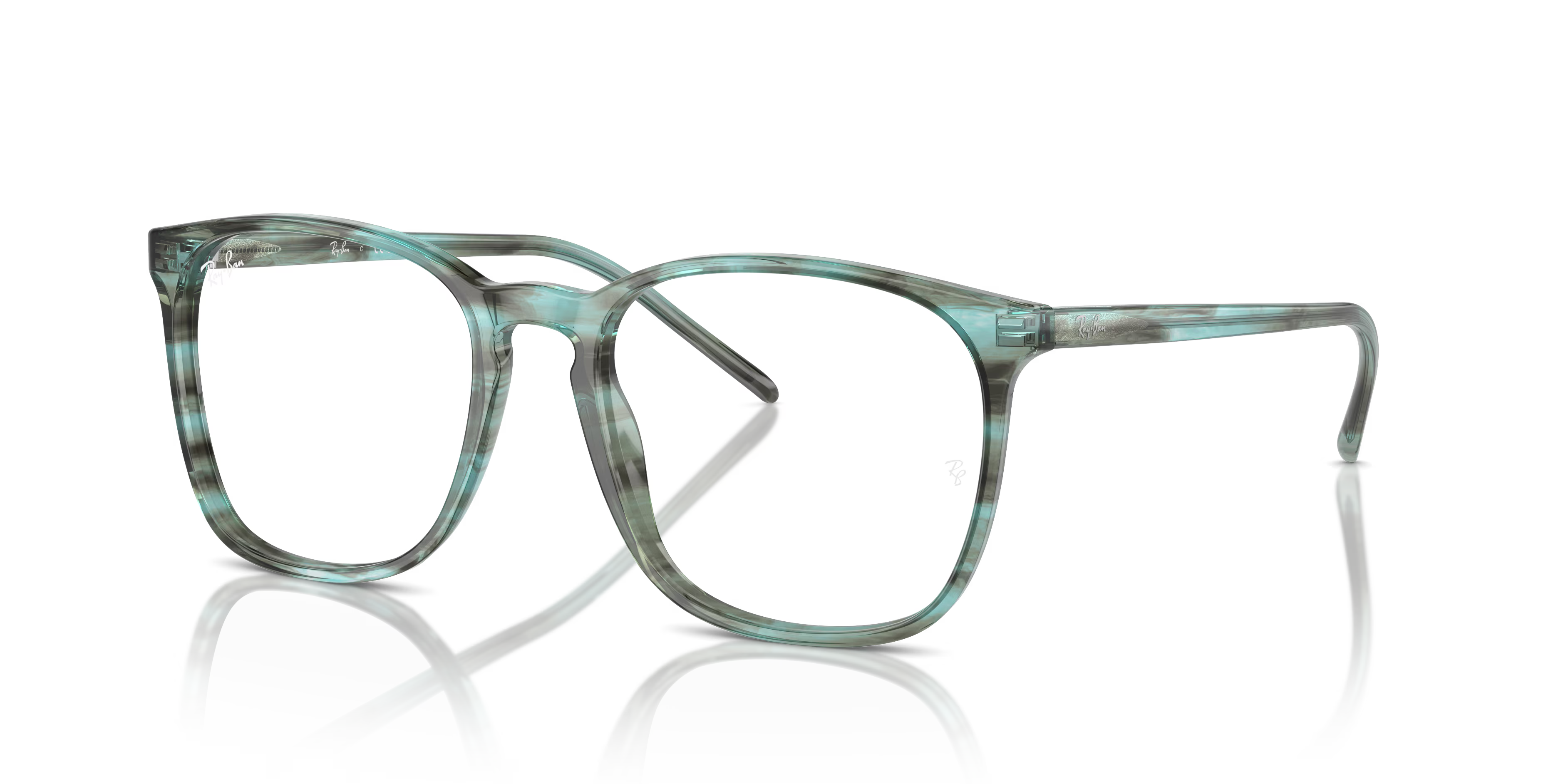 RB5387 OPTICS