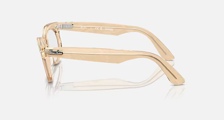 WAYFARER OVAL OPTICS CHANGE