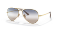RB3689 BI-GRADIENT