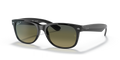 NEW WAYFARER @COLLECTION