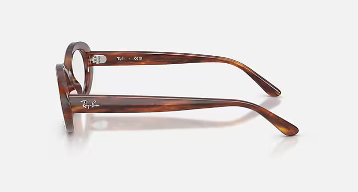 RB2223V OPTICS