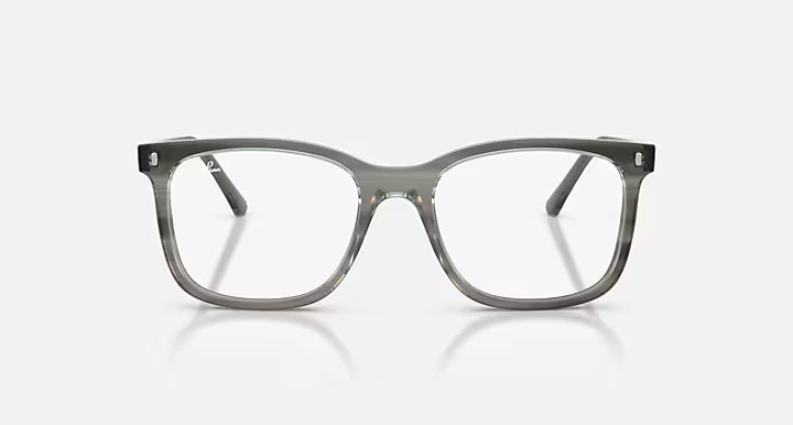 RB5446 OPTICS