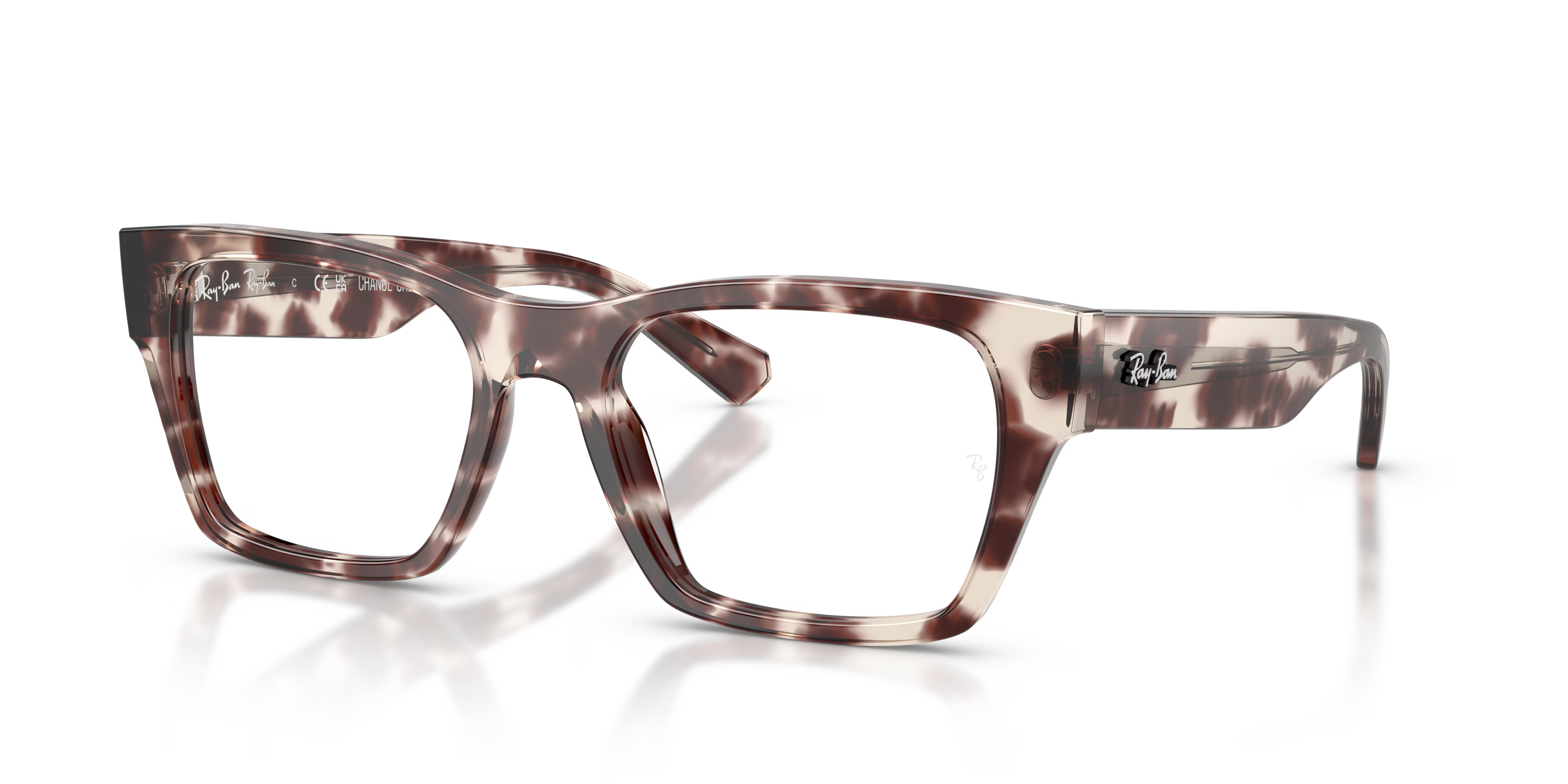 RB5448 OPTICS