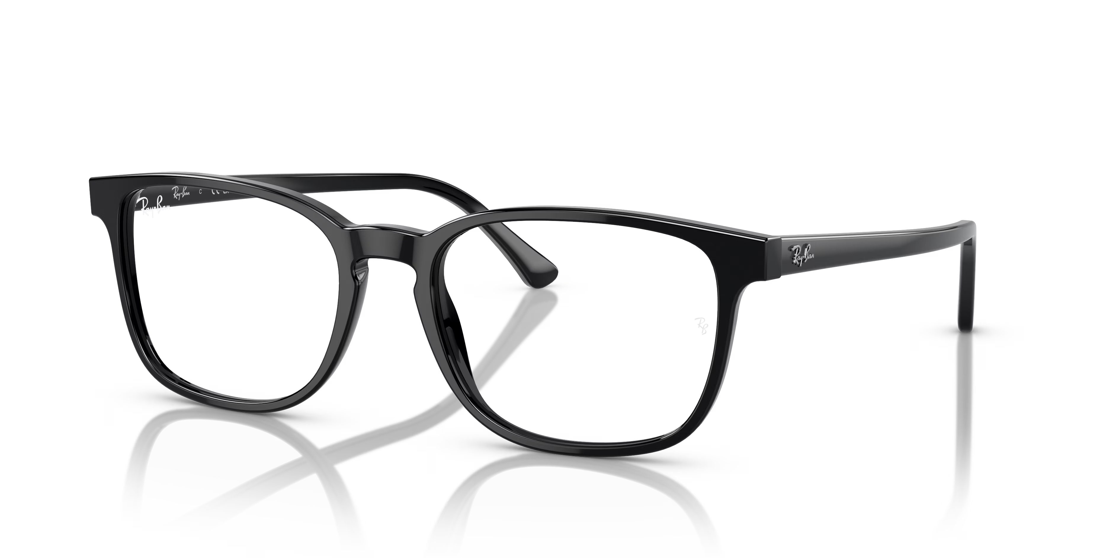 RB5418 OPTICS
