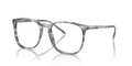 RB5387 OPTICS