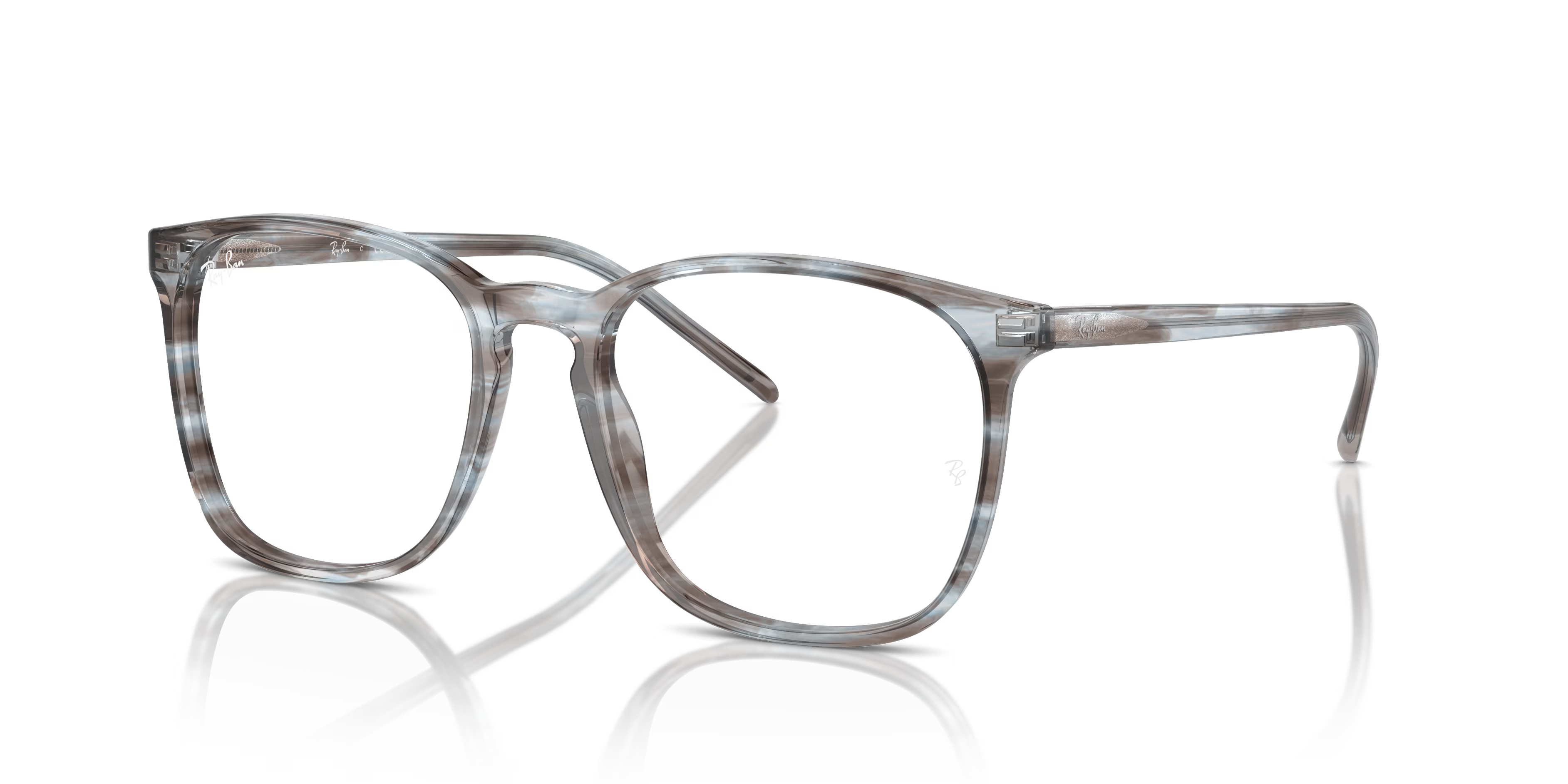 RB5387 OPTICS