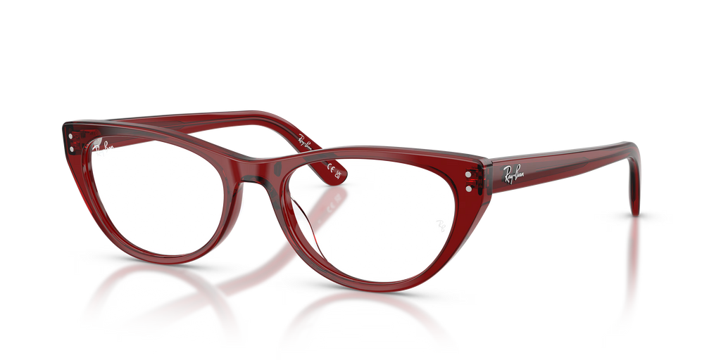 RB5449D OPTICS