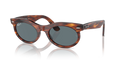 WAYFARER OVAL