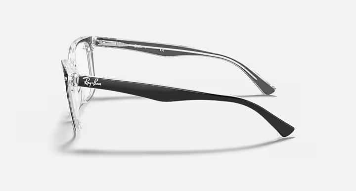 RB5285 OPTICS