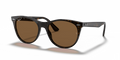 WAYFARER II CLASSIC