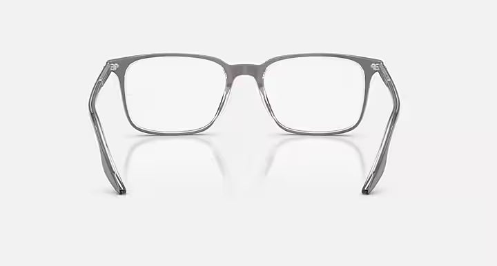 RB5421 OPTICS