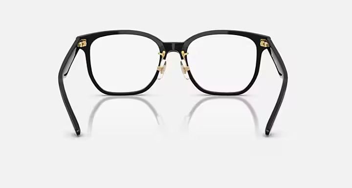 RB5425D OPTICS YEAR OF THE SNAKE EDITION