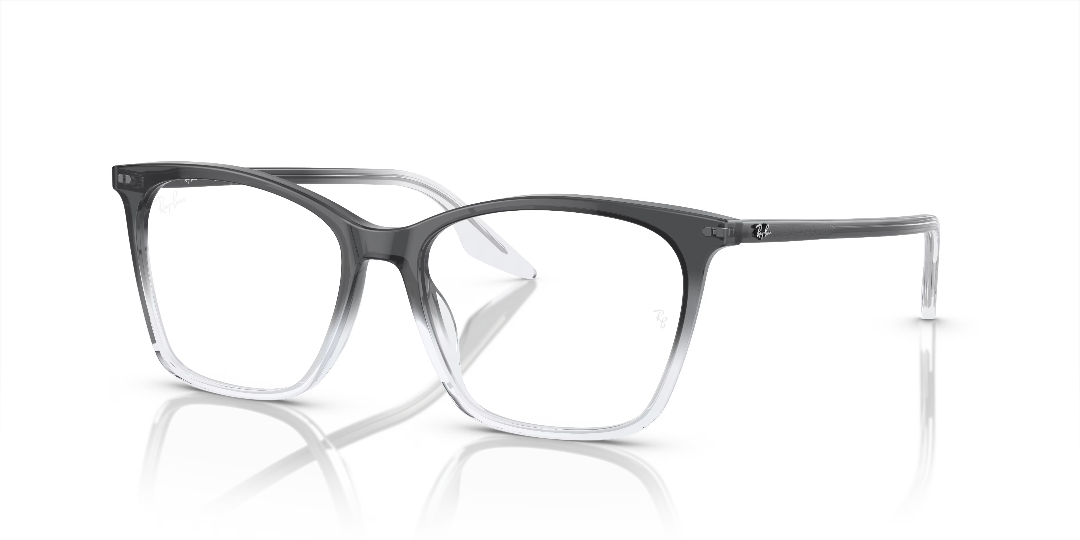 RB5422 OPTICS
