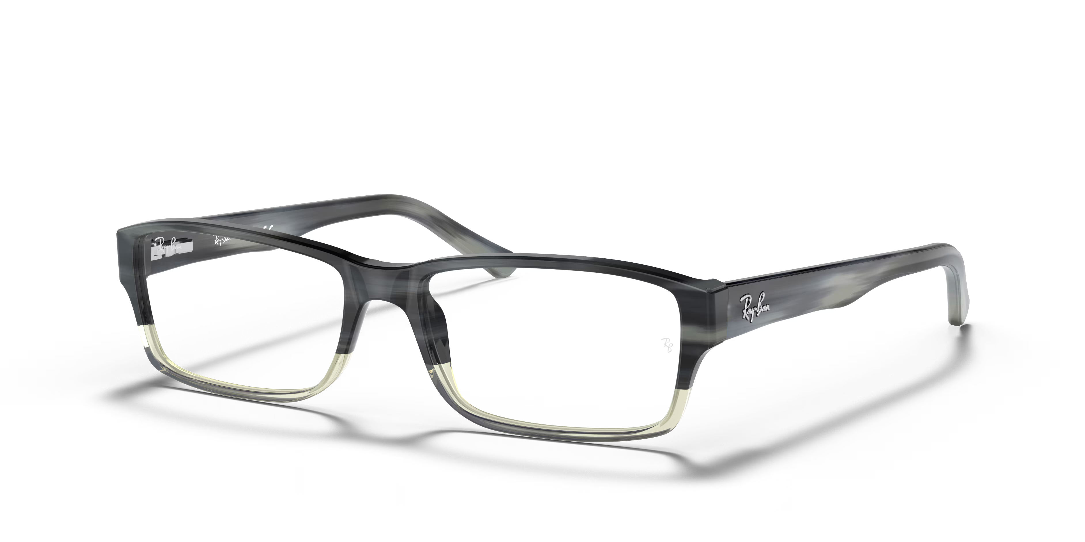RB5169 OPTICS