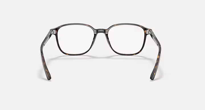 LEONARD OPTICS