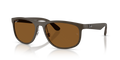 RB4468 POLARIZED LENSES