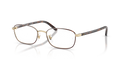 RB6551D OPTICS