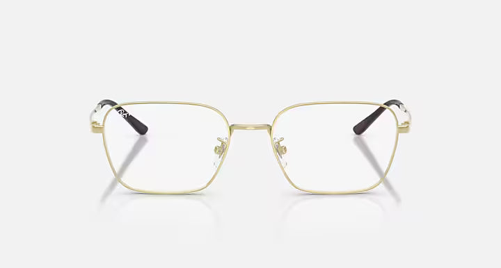 RB8784D TITANIUM OPTICS