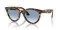 WAYFARER WAY