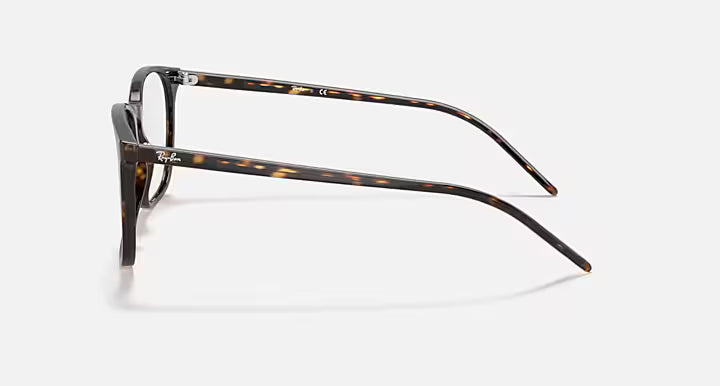 RB5387 OPTICS