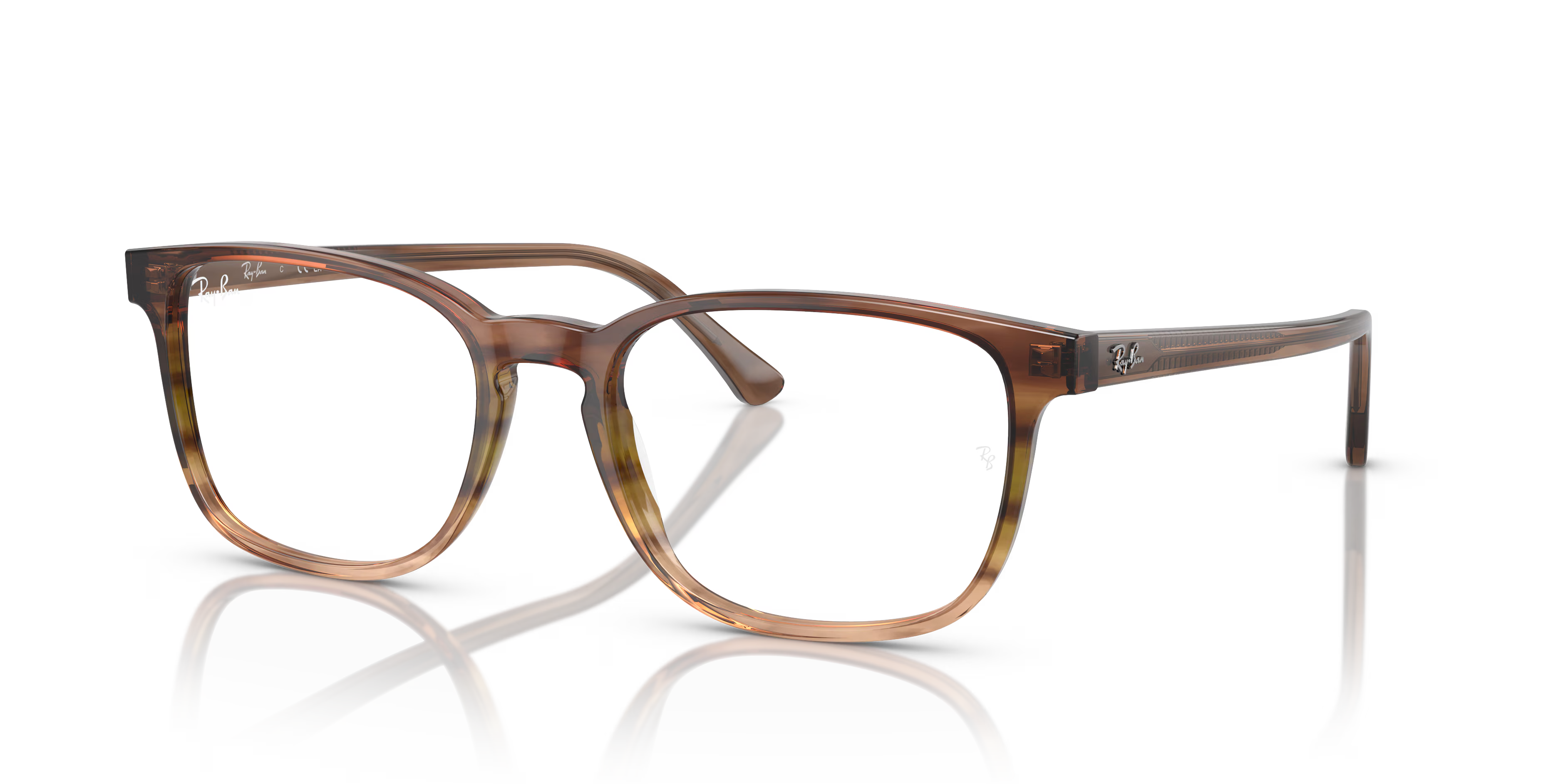 RB5418 OPTICS